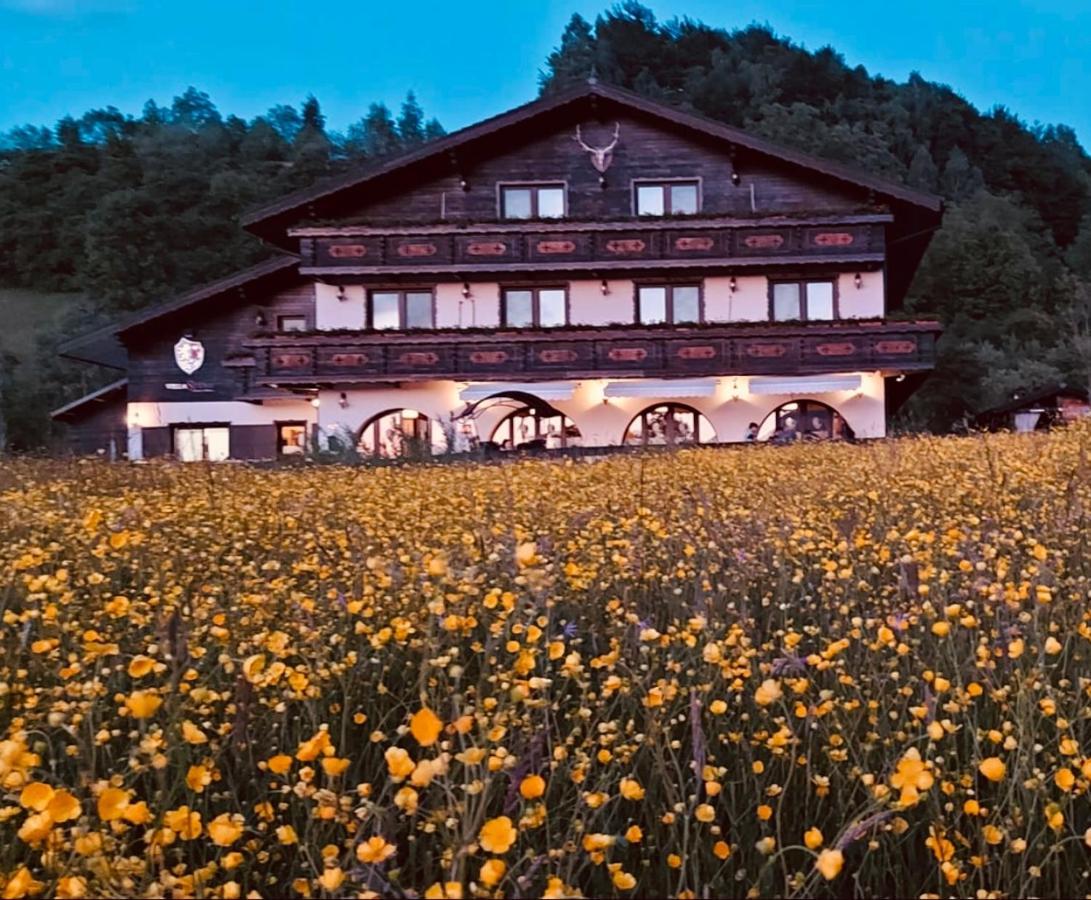 Villa Siana Törcsvár Kültér fotó