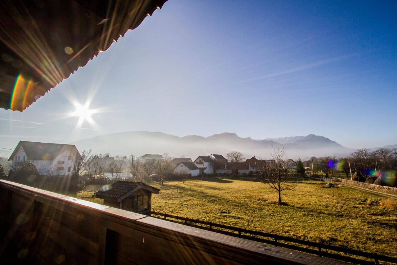 Villa Siana Törcsvár Kültér fotó